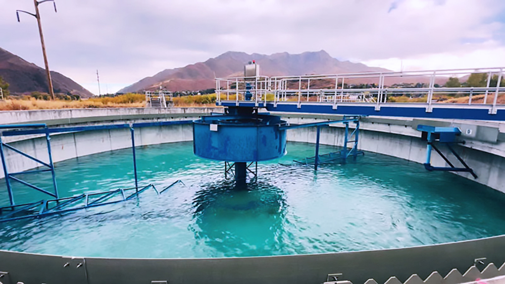 Untitled design – 1